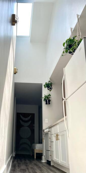 Geodis Park Apartment In Weho Нэшвилл Экстерьер фото